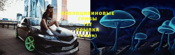 стафф Магадан