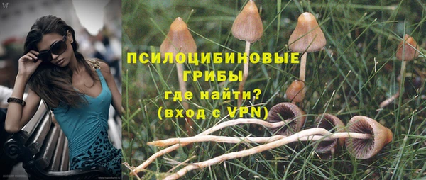 винт Магас