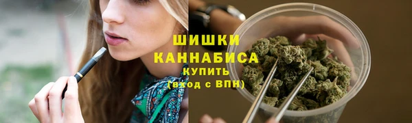 стафф Магадан