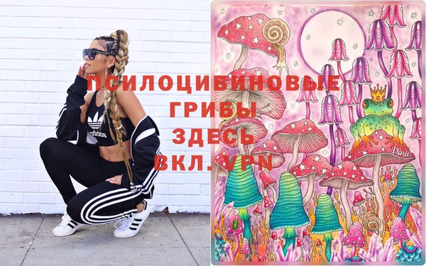 стафф Магадан