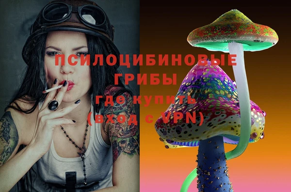 винт Магас
