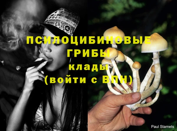 стафф Магадан