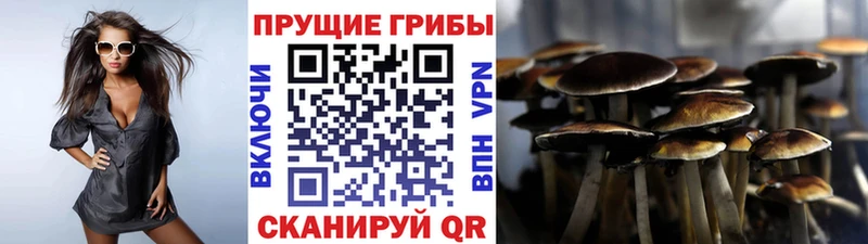 Псилоцибиновые грибы Psilocybe  kraken ТОР  Новоульяновск  продажа наркотиков 