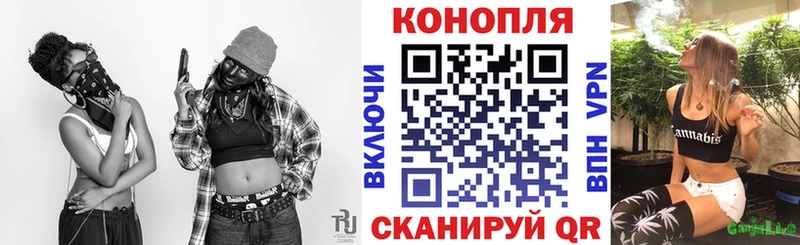 кракен вход  Новоульяновск  Каннабис индика 